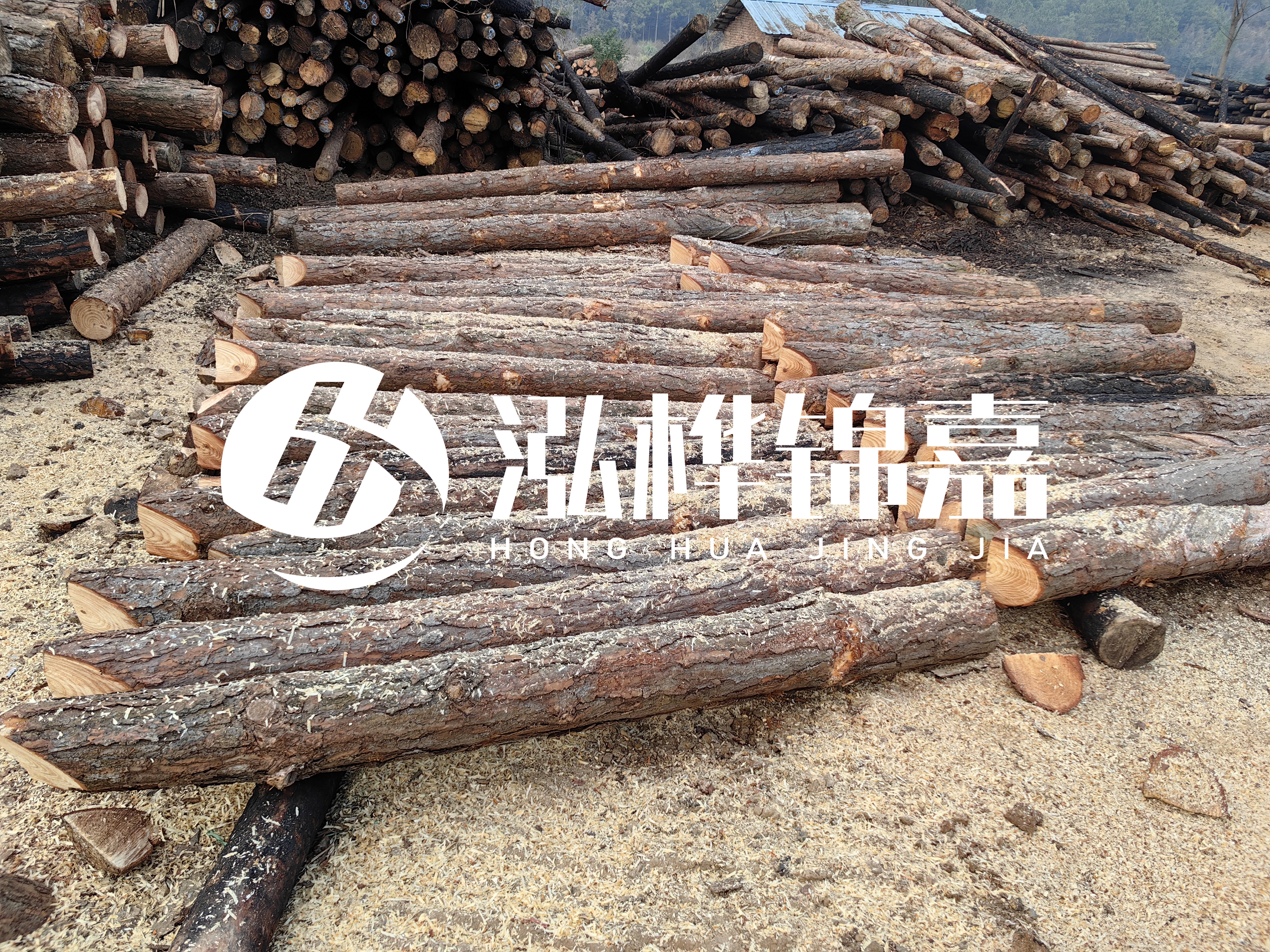 河道打樁木重復(fù)利用嗎？