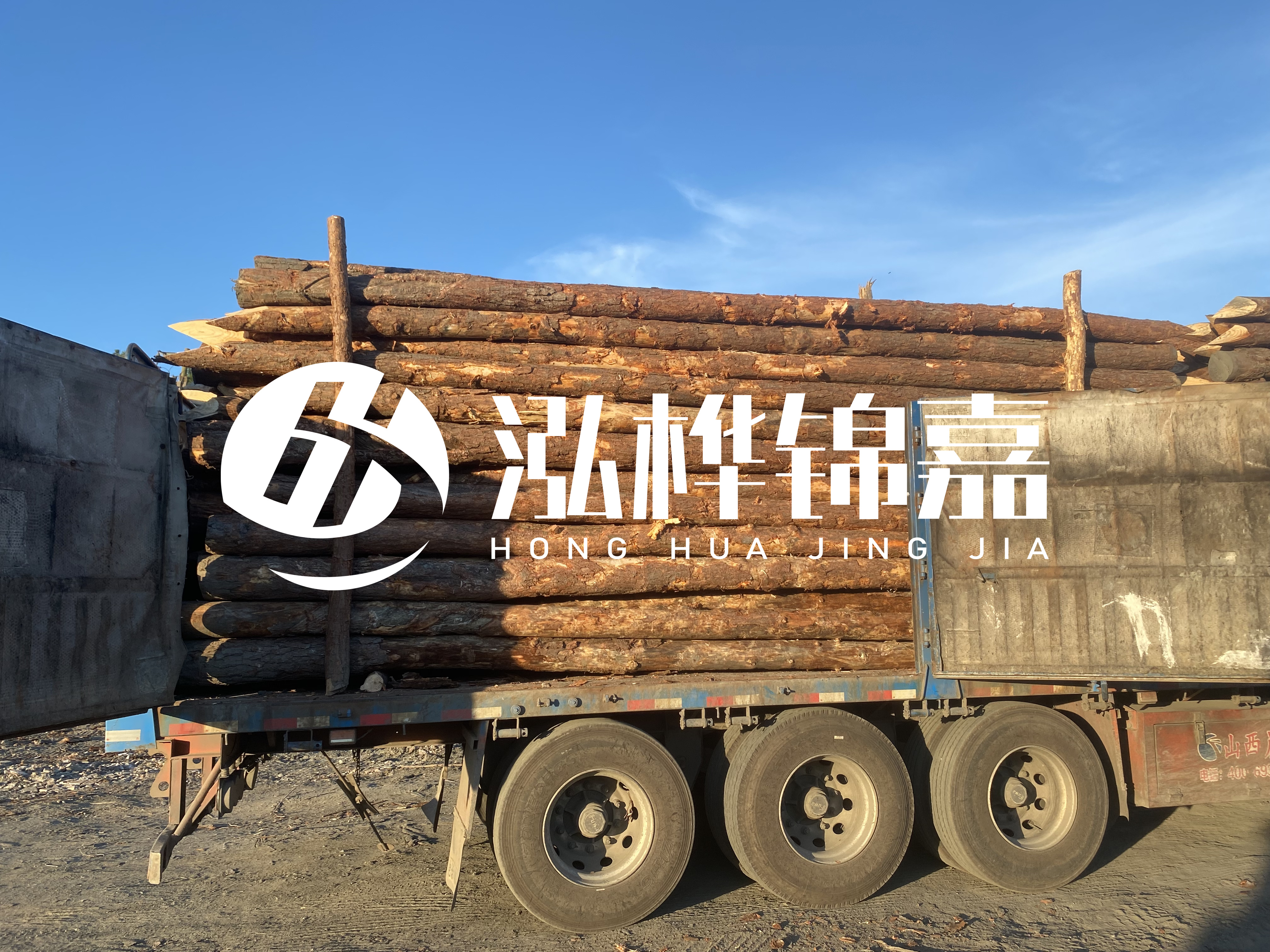 河道治理為什么要用松木樁？