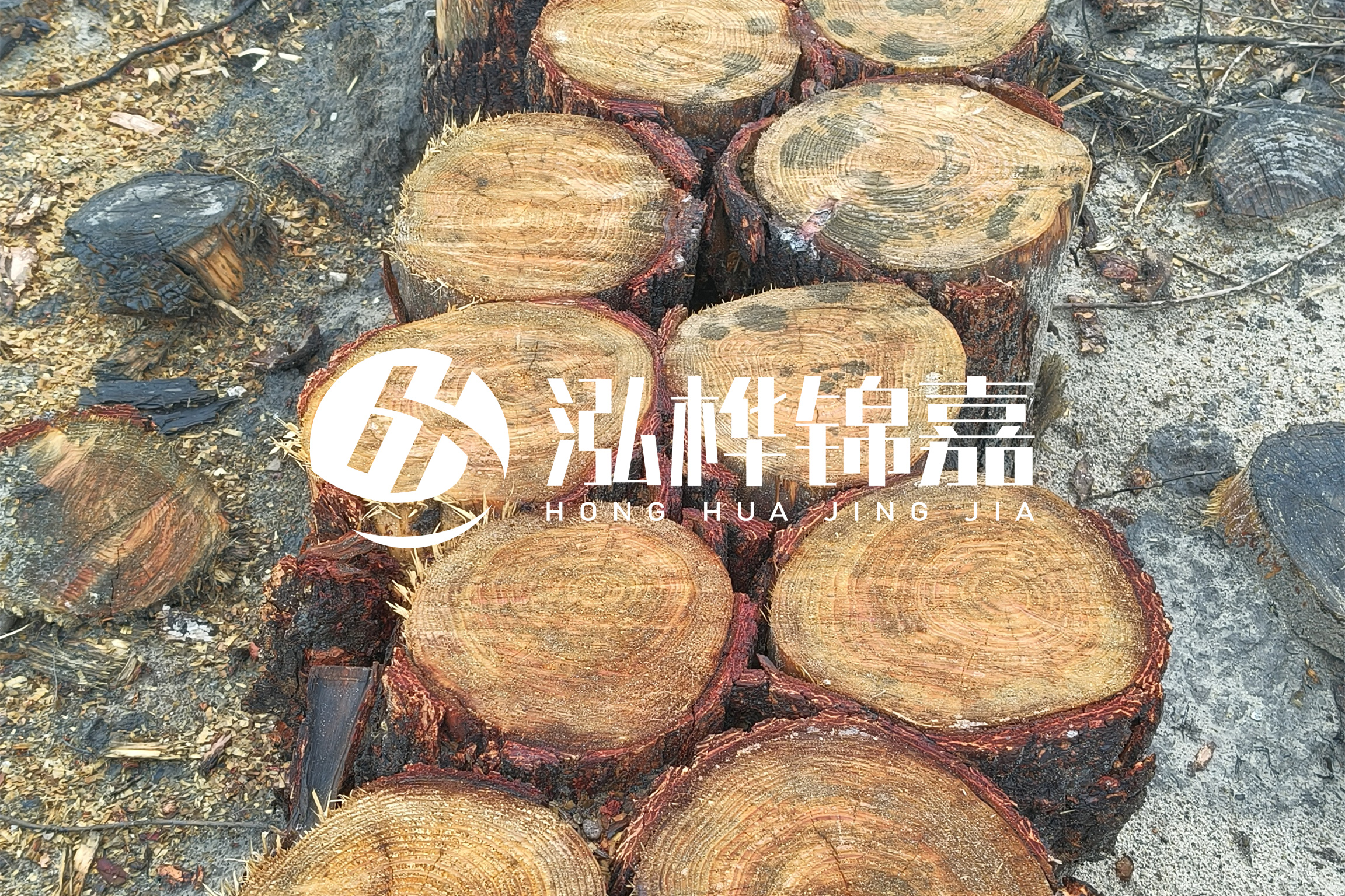 浙江臺(tái)州有清淤的公司嗎？浙江臺(tái)州有清淤施工隊(duì)嗎？