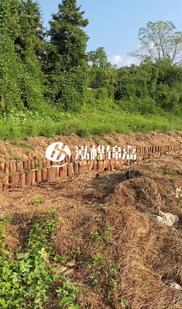 許昌河道清淤專業(yè)施工-河道污水治理要多長時間？