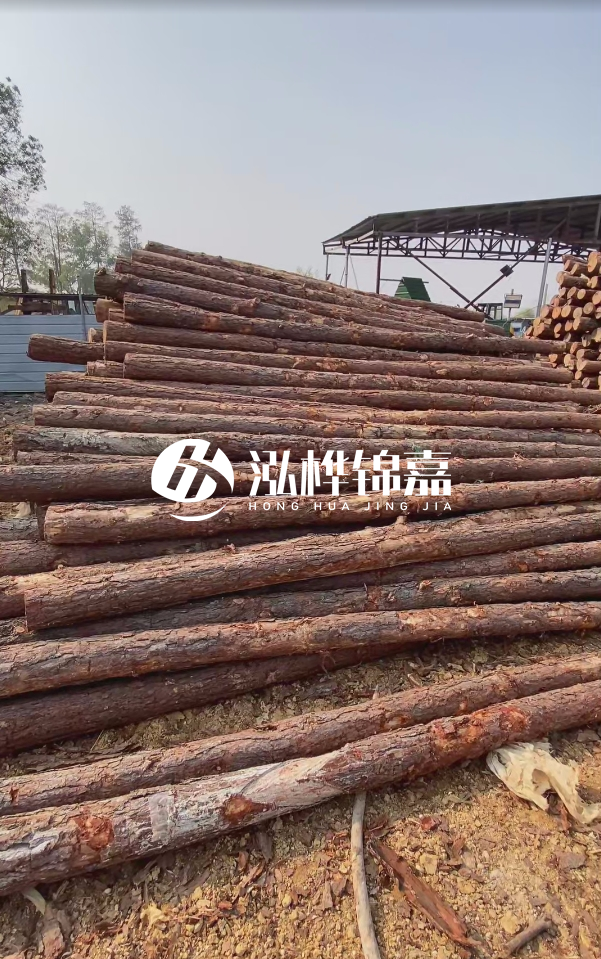 岳陽(yáng)松木樁源頭廠(chǎng)家-河道木樁護(hù)岸能否抵御洪水沖擊？