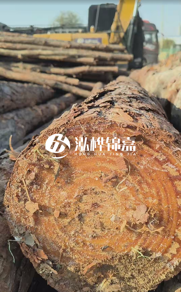 杉木樁價(jià)格多少錢(qián)一方-3米直徑14公分杉木樁價(jià)格？