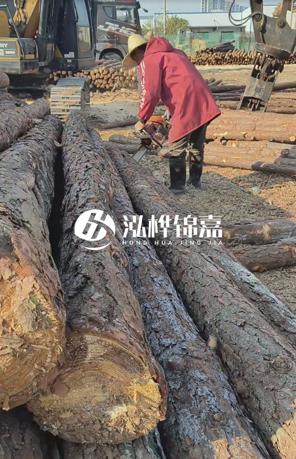 長(zhǎng)沙打樁木批發(fā)廠家在哪里？聯(lián)系方式是什么？
