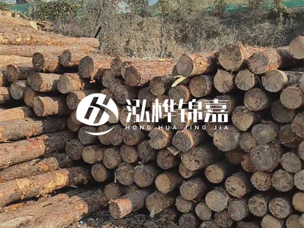 落葉松木材的主要產(chǎn)地在哪里？為什么比其他松木更耐腐蝕？