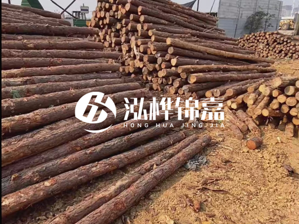 河道木樁施工遇到淤泥怎么辦？打多深才能防沖刷？