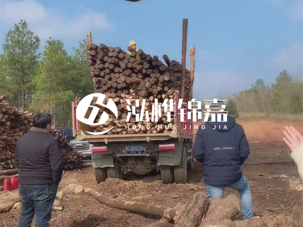 防腐木樁價(jià)格比普通木樁貴多少？防腐木樁有哪些處理方式？