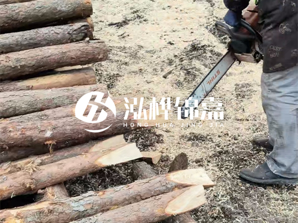 杉木樁批發(fā)廠家哪家好？產(chǎn)地直供渠道推薦！