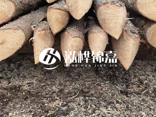 打樁木樁與鋼樁相比有哪些優(yōu)缺點(diǎn)？如何進(jìn)行后期維護(hù)？