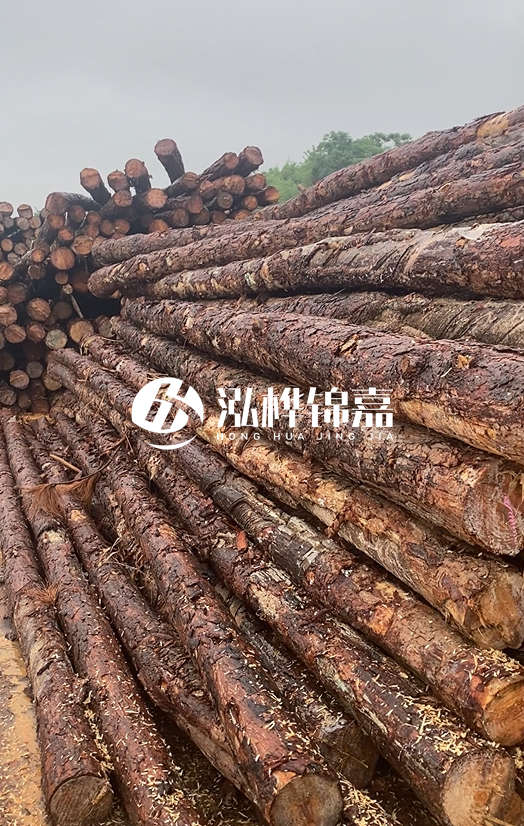 購買松木樁注意事項(xiàng)有哪些-不同直徑松木樁區(qū)別有哪些？