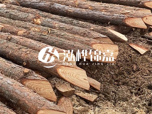 松木樁削尖的費用怎么算？按根收費還是包含在單價里？