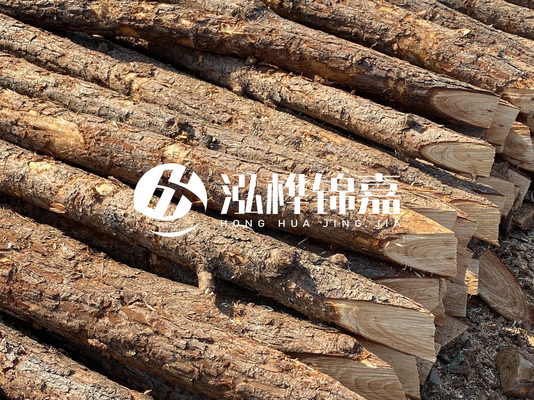 8 米超大直徑松木樁的價格是多少？帶皮和去皮松木樁價格差多少？