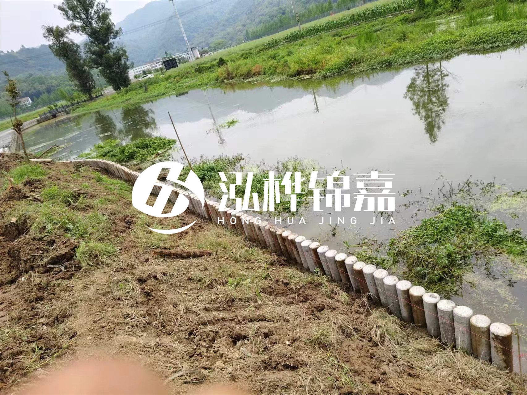 松木樁加固河道與水泥樁對比如何？哪一種更加適合您？