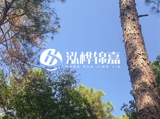 松木樁廠家泓樺錦嘉可以實(shí)地考察嗎？需要提前預(yù)約嗎？