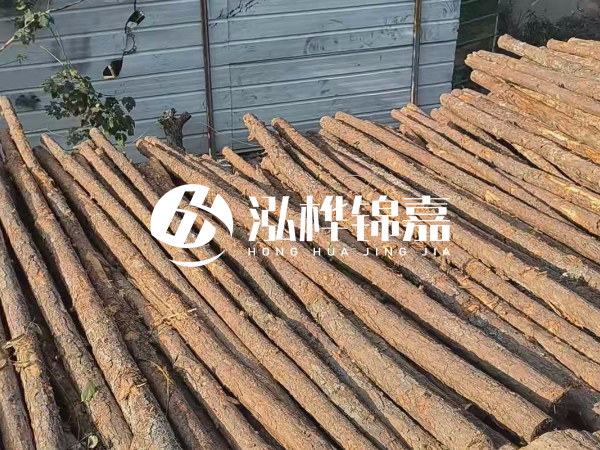 松木樁打樁后清淤怎么處理？有沒有全包的公司？