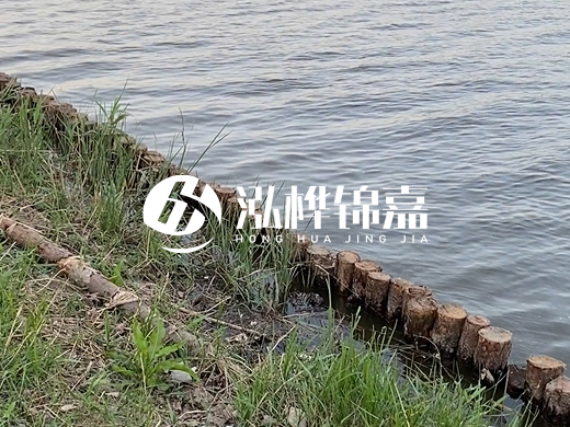 防洪松木樁施工重要性？河道打木樁的位置怎么確定？