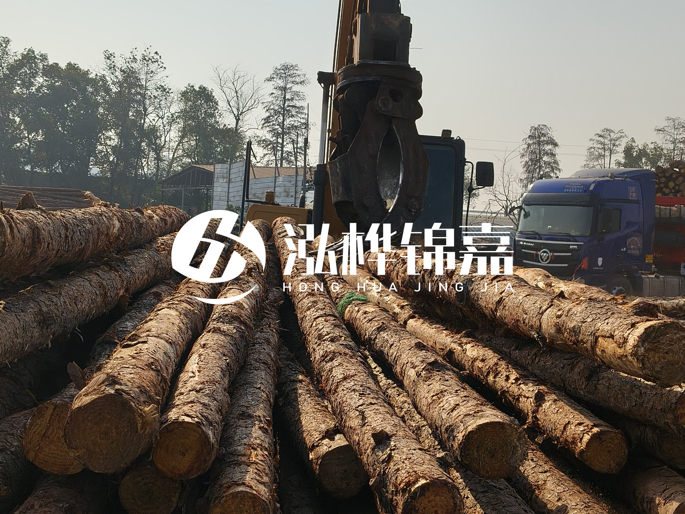 松木樁可以用來做什么？常用于哪些工程？