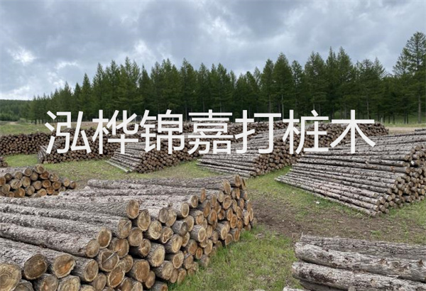 預(yù)制松木樁施工工藝：優(yōu)質(zhì)材料，高效快速，堅固耐用