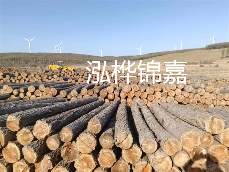 溫州松木樁施工廠家——為您打造堅固穩(wěn)定的建筑基礎(chǔ)！