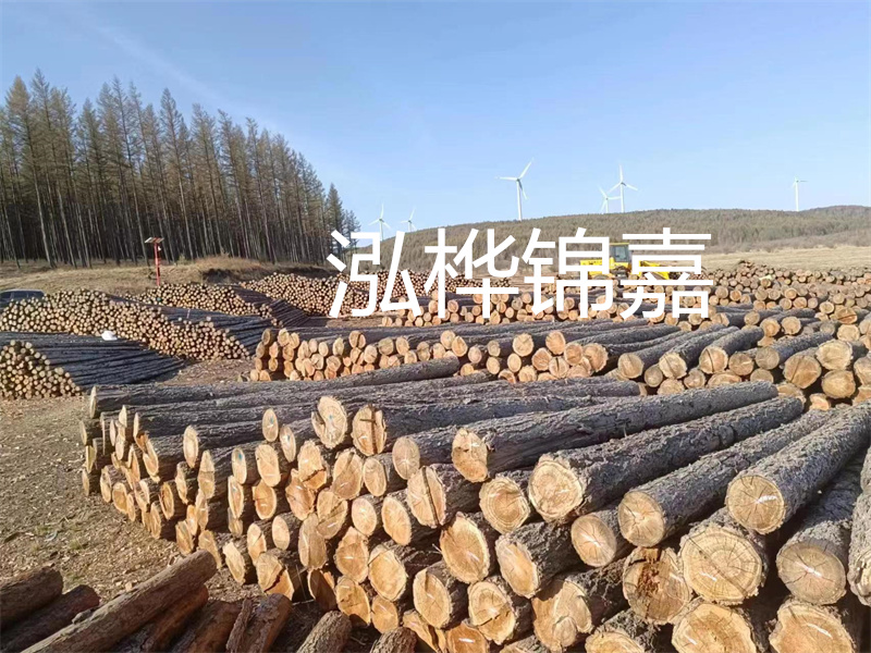 用路基松木樁施工方案提升工程質(zhì)量描述：了解路基松木樁施工方案的重要性，提高工程質(zhì)量關(guān)鍵詞：路基松木樁，施工方案，工程質(zhì)量