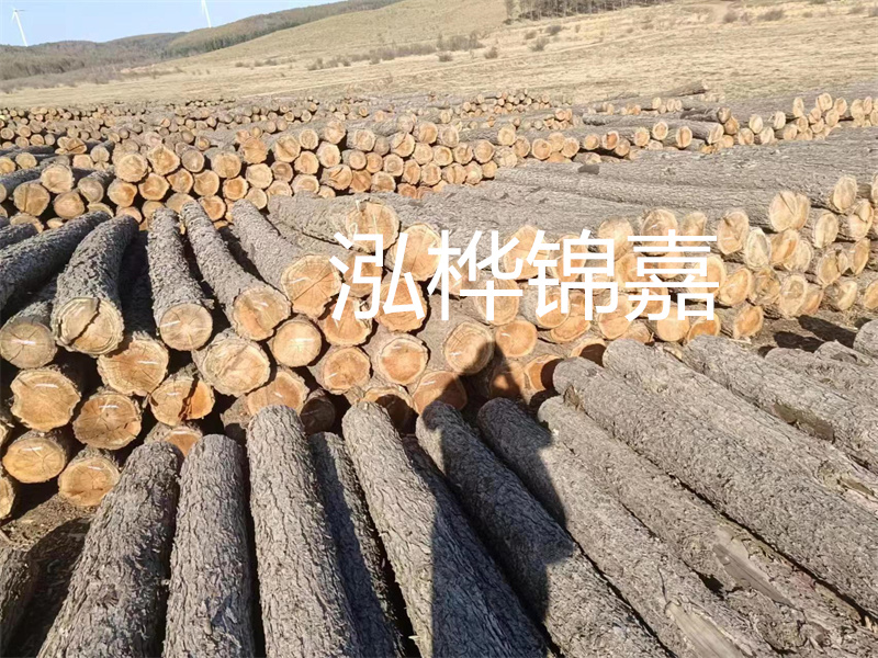 鹽城松木樁河道圍堰施工，保護生態(tài)環(huán)境，打造美麗城市