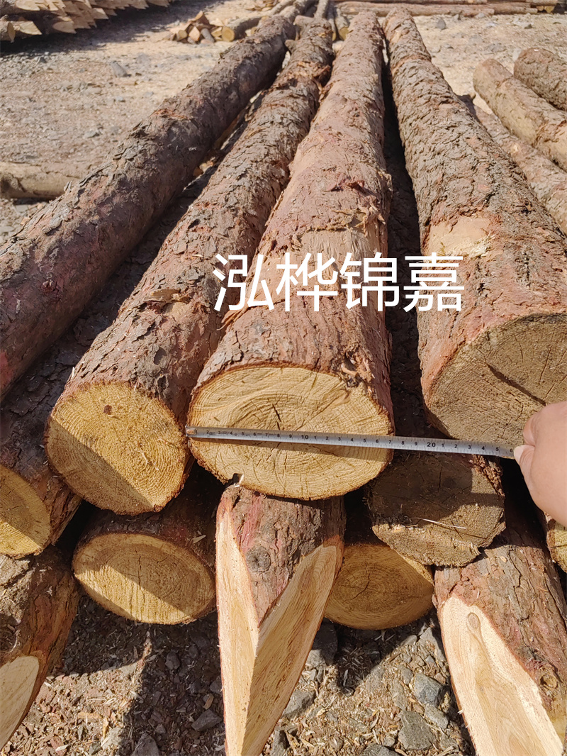 福建哪里買松木樁？