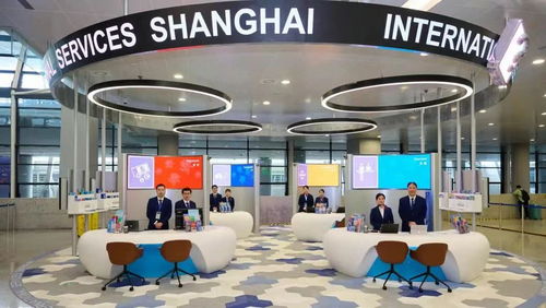 上海浦東機場外籍人員一站式綜合服務(wù)中心啟用 促進國際化營商環(huán)境建設(shè)